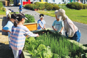 공교육의 틀을 깨다!  상상과 모험의 숲놀이 학교 안성 죽화초