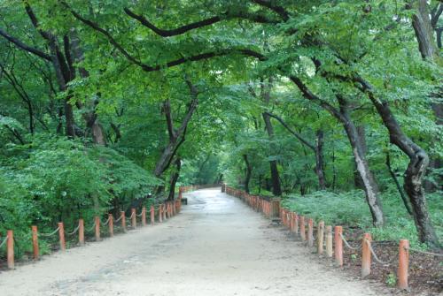 천연 기념물제154호 함양 상림