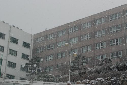 교정에 함박눈이 내리던 날