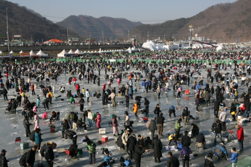 산천어 축제 관광객들이 빙판 위에서 산천어 구멍낚시를 하며 손맛을 즐기고 있다